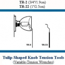 TR-2 si TR-22