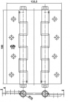 Amig 3035